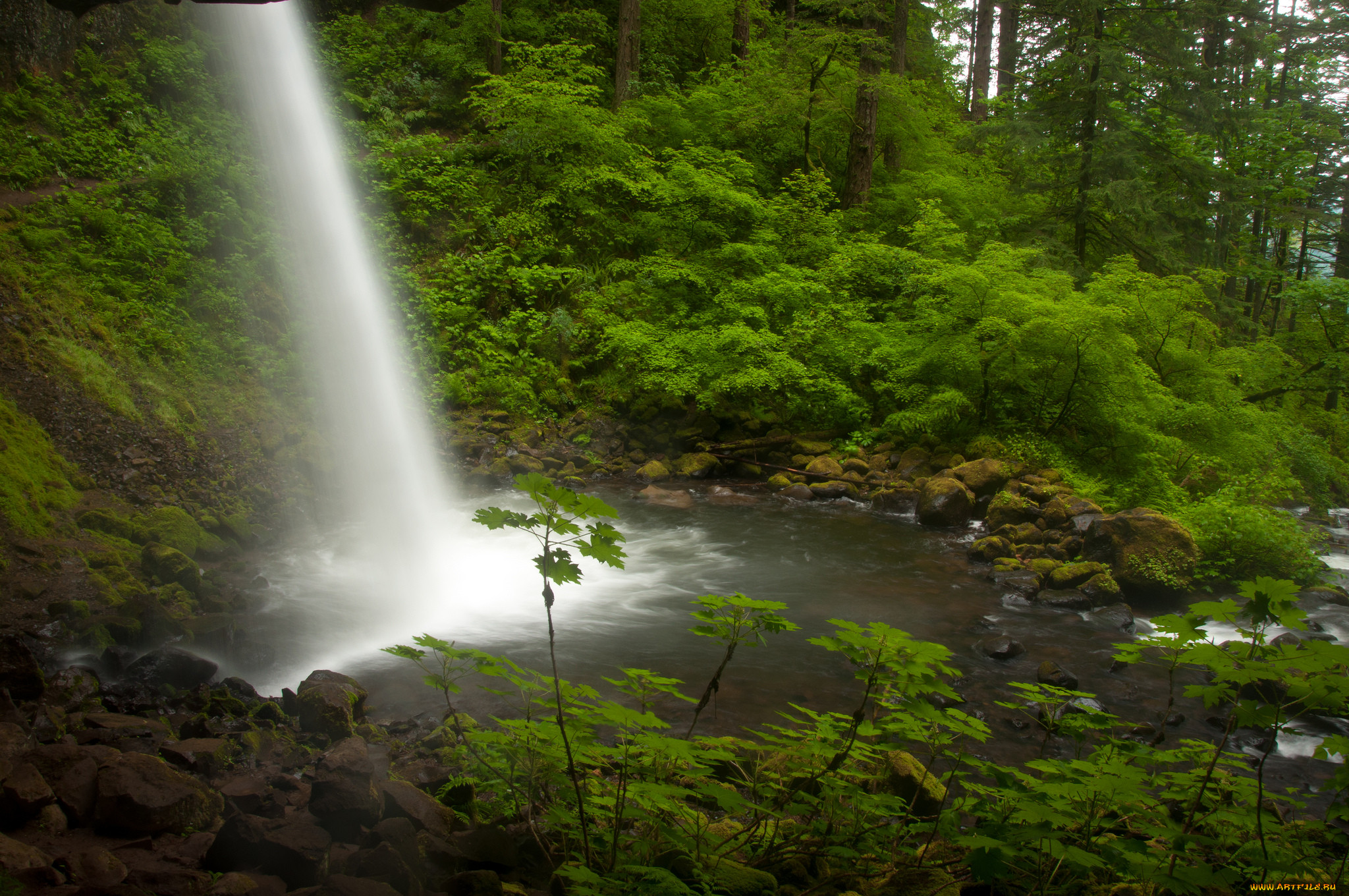 ponytail, falls, columbia, river, gorge, oregon, , , , , , , 